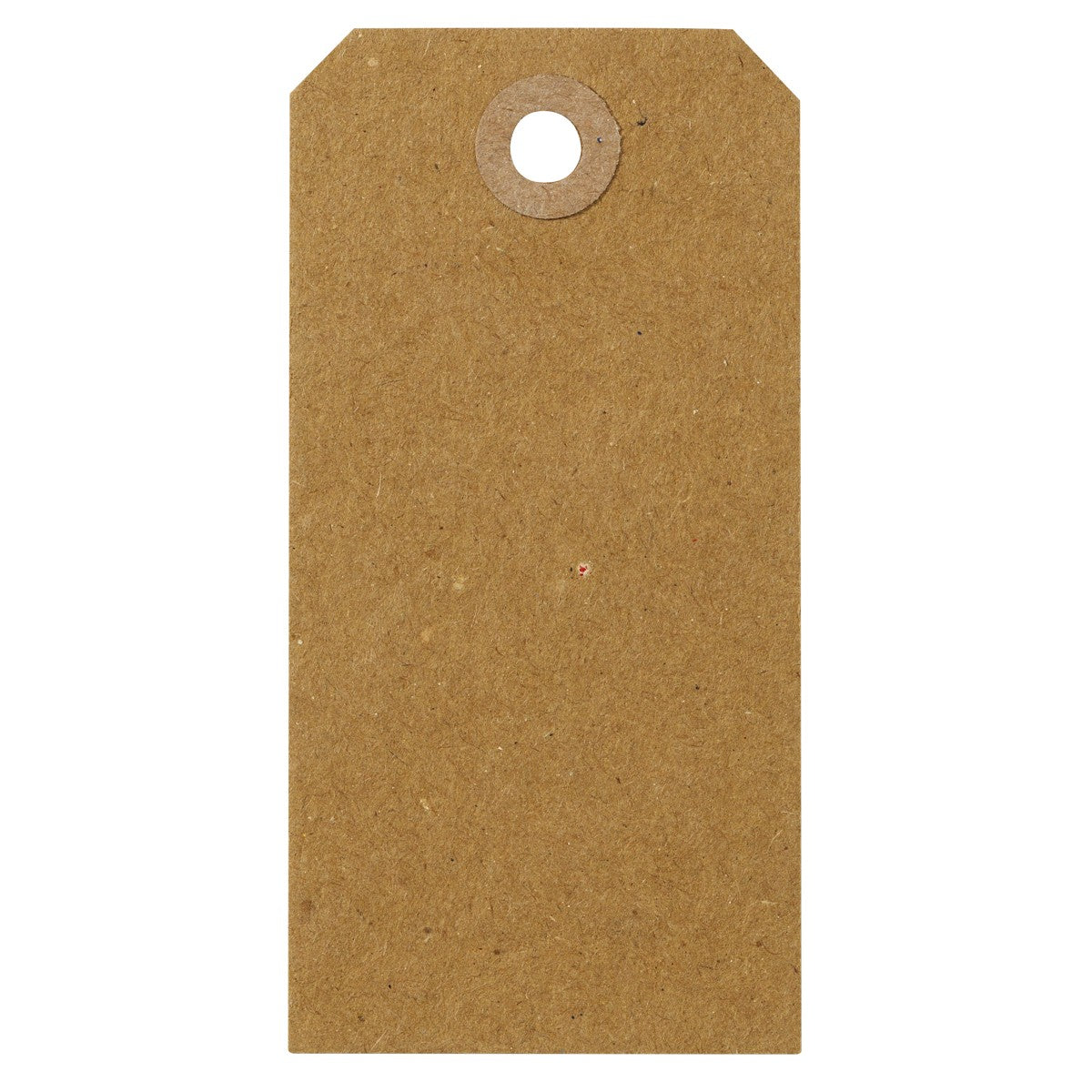 Manilla tags kraft - 20 stuks - 5x10 cm
