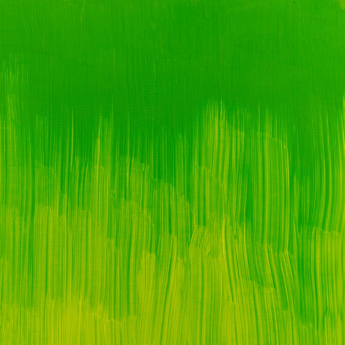 W&N Winton oil - 37 ml - phthalo yellow green